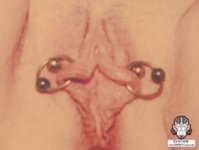 fem_02_000.jpg