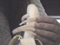 ciar04.jpg