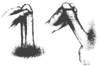 c212.gif