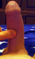 IMAG0164.jpg