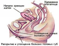 10copw1.jpg