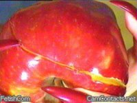 apple.jpg