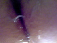 DSC00023.JPG
