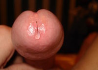 XXX_0000175.jpg