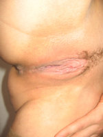 IMG_0380_3.jpg