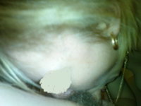 DSC00084.JPG