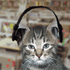 djcats11_20060925_1488731732.gif
