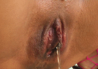 02.gif