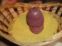 DSC03541.JPG