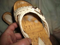84e89c8776.jpg