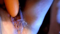 01.gif