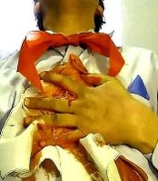 5апр2011 11а нож.wmv_000375967.jpg