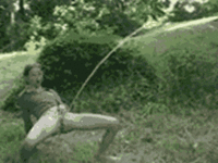02.gif