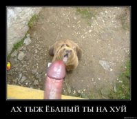 ug4u1ocdo2x8.jpg