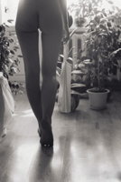 64c5478aa7bbb4709bdd0665e036d6f8.jpg