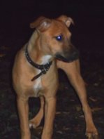 SAM_0687.JPG
