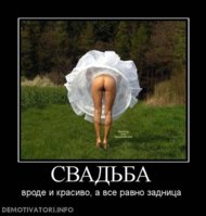 1334002781_prikolnye_demotivatory_svadba_kartinka_1.jpg