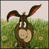 ia.gif
