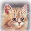 animals_117.jpg