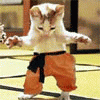 6_3229.gif