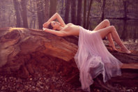 1402318_original.jpg