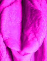 44 012.jpg