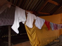 53d3815442.jpg