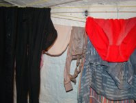 DSC00675.JPG
