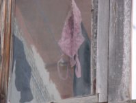 DSC01257.JPG