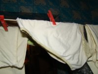 DSC02117.JPG