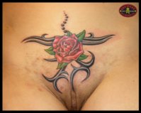 Rose_Pussy_by_gekartink.jpg