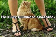 1403636105_1352313661_seksi-miks-prikolnaya-erotika-1.jpg