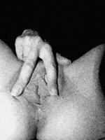 IMG_9626-1-1.jpg