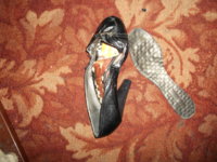 da7547326f.jpg