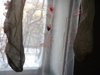 Изображение 395.jpg