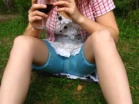 10.JPG