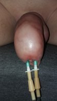 20150626_080954.jpg