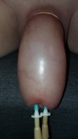 20150626_081211.jpg