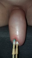 20150626_081616.jpg