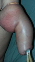 20150626_082257.jpg