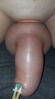 20150626_083249.jpg