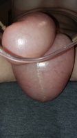 20150626_102954.jpg