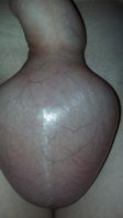 20150707_042143.jpg