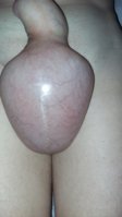 20150707_042201.jpg