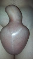 20150707_042208.jpg