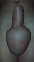 20150707_094231.jpg