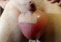 Picture-1.jpg