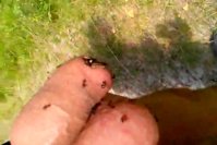 37c0052112.480.mp4_snapshot_00.05_[2016.03.23_16.40.32].jpg