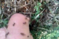 37c0052112.480.mp4_snapshot_00.23_[2016.03.23_16.40.48].jpg