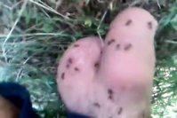 37c0052112.480.mp4_snapshot_00.26_[2016.03.23_16.40.54].jpg